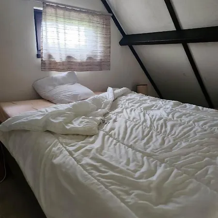 Alpesi faház Maison Sunpark Oostduinkerk 550